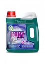 I THOMIL (cópia) (cópia)